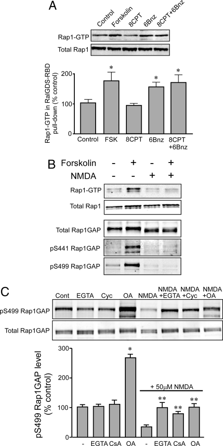 Fig. 5.