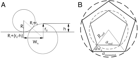 Fig. 6.