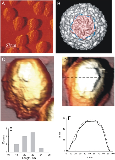 Fig. 2.