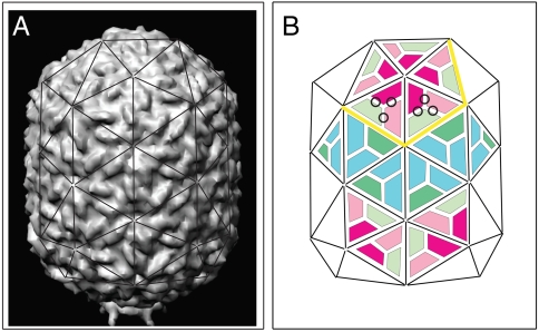 Fig. 1.