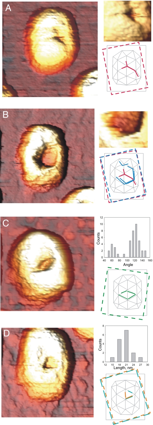 Fig. 4.