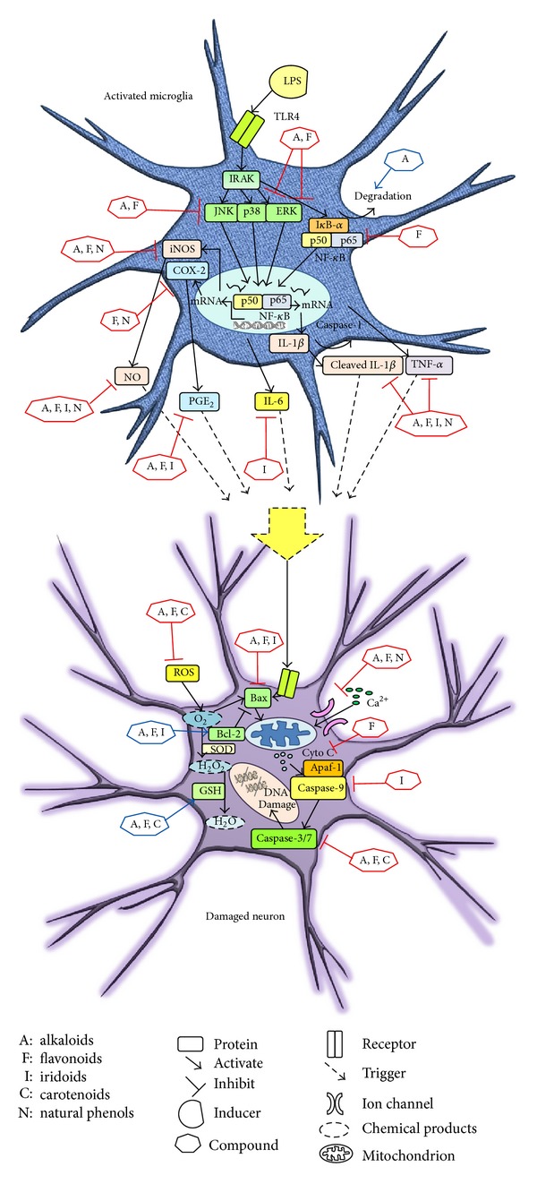 Figure 6