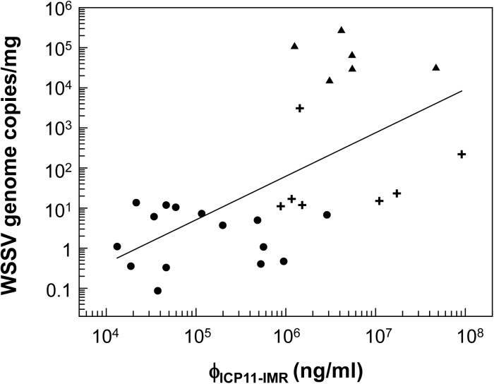 Fig 8