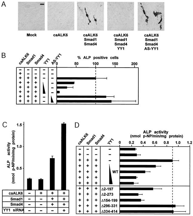 FIG. 8.