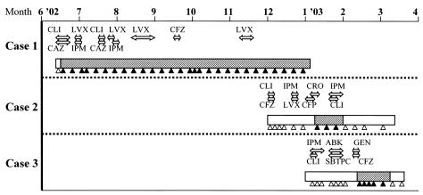 FIG. 2.