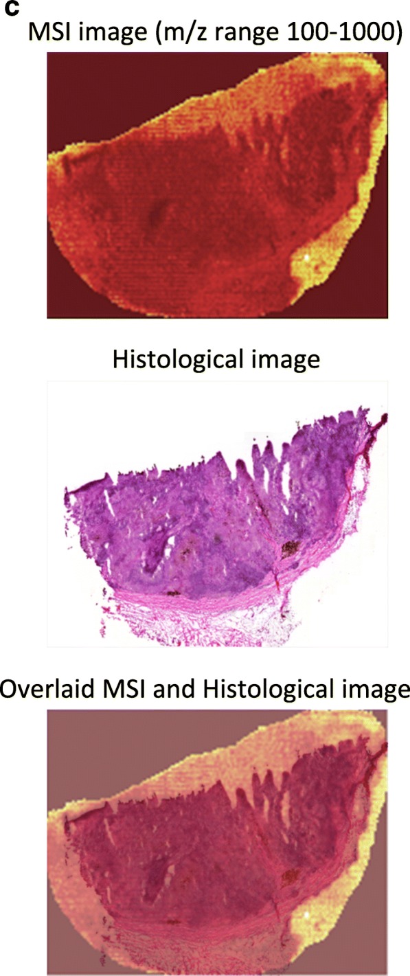 Fig. 5