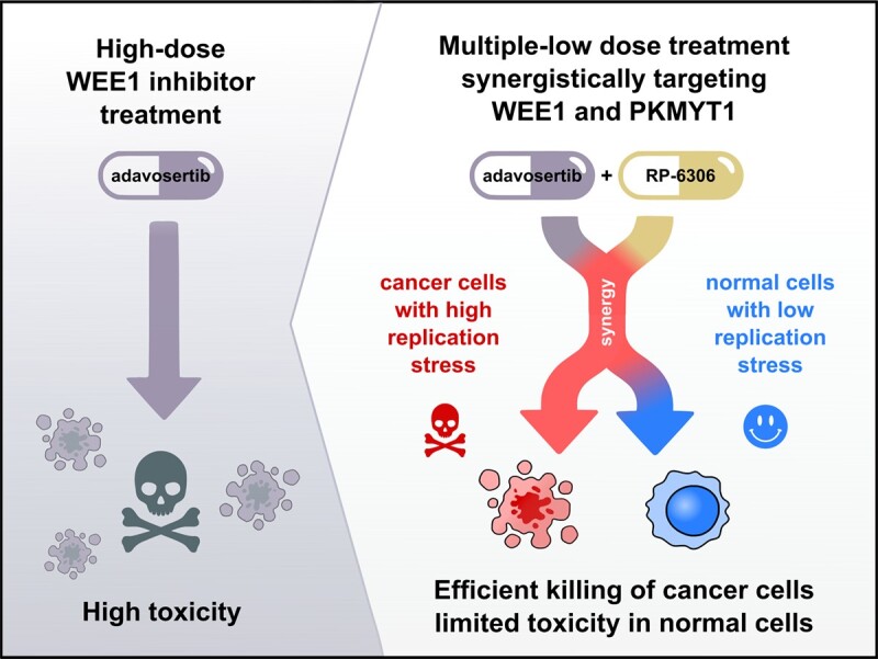 Graphical Abstract