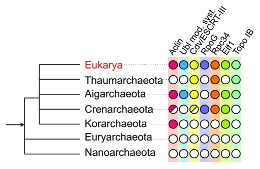 Figure 2.