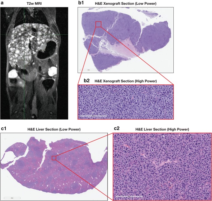 Fig. 2