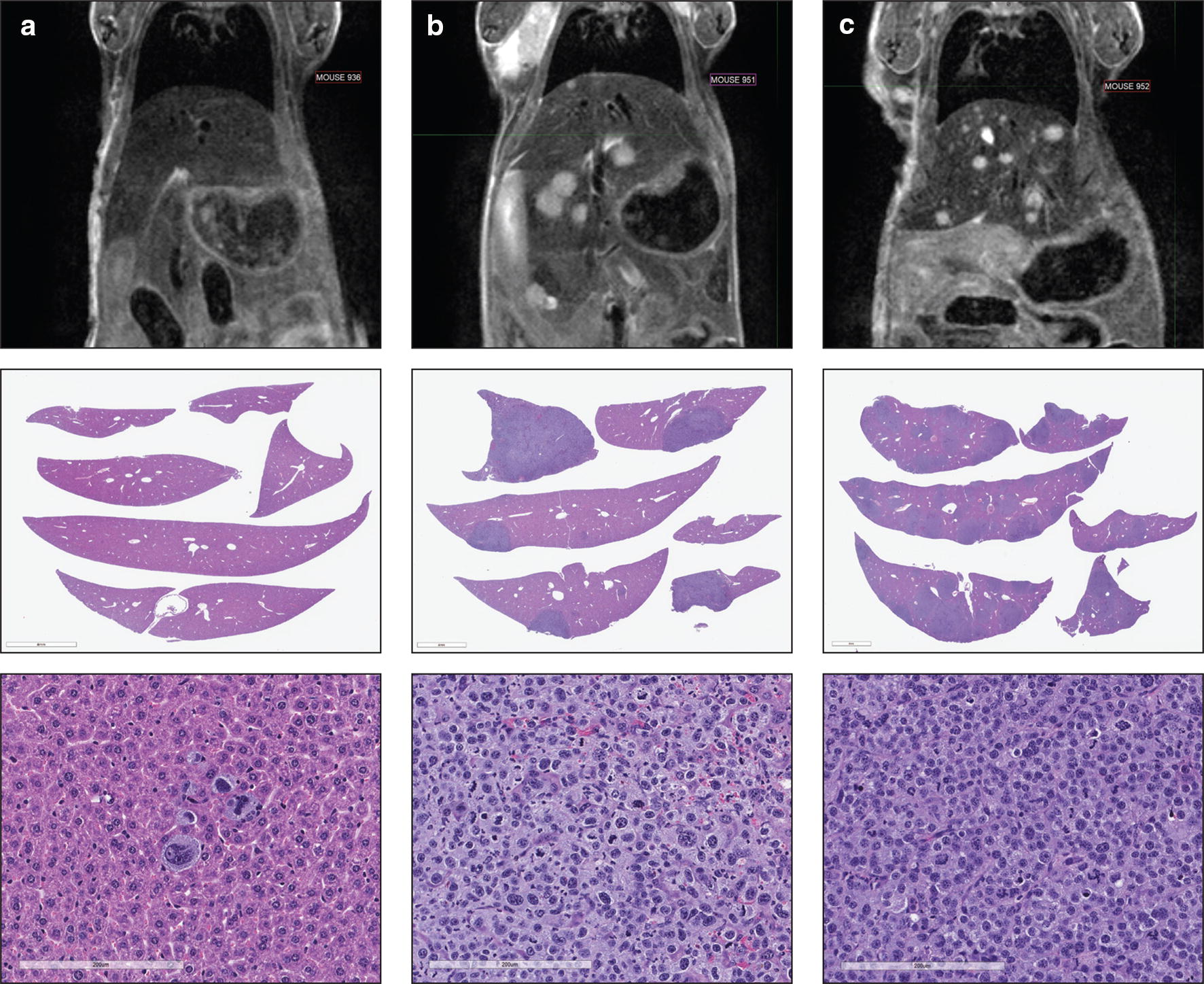 Fig. 6