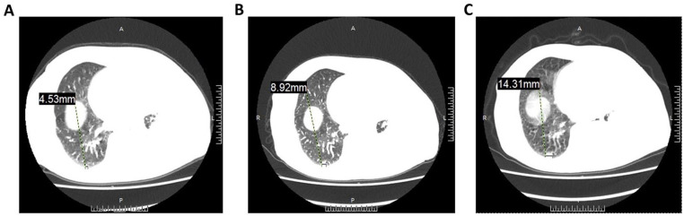 Figure 3.