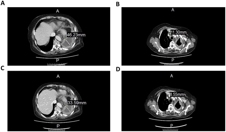 Figure 2.