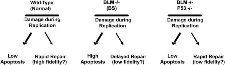 Figure 9.