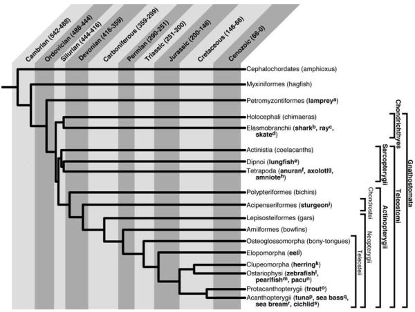 graphic file with name ukmss-48239-f0001.jpg