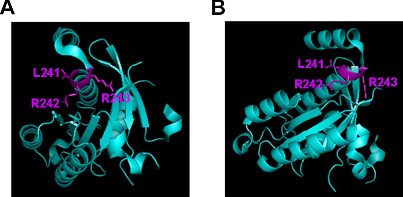 FIGURE 9.