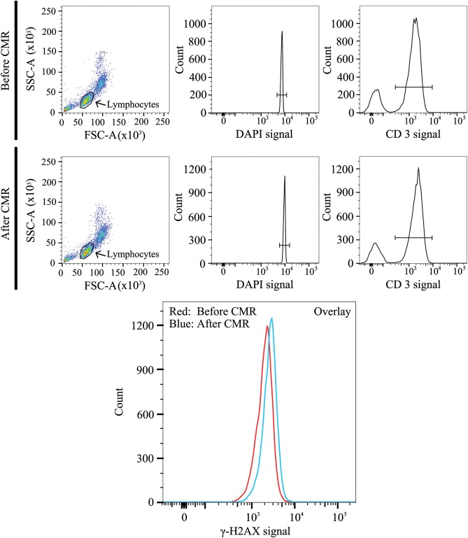 Figure 3