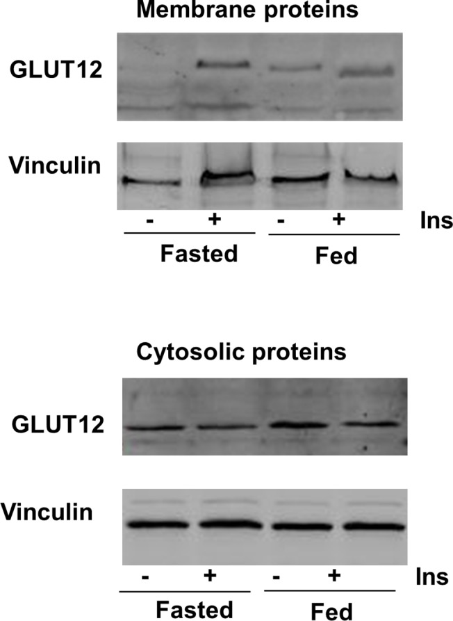 Fig 8