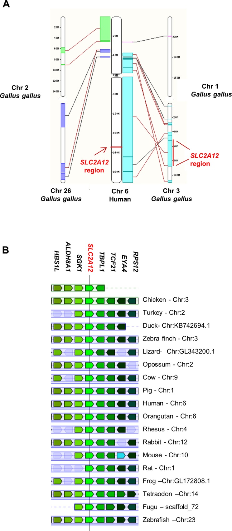 Fig 4