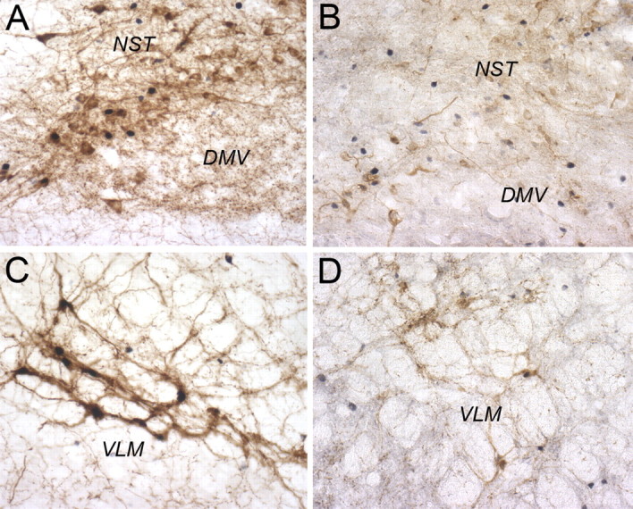 Figure 10.