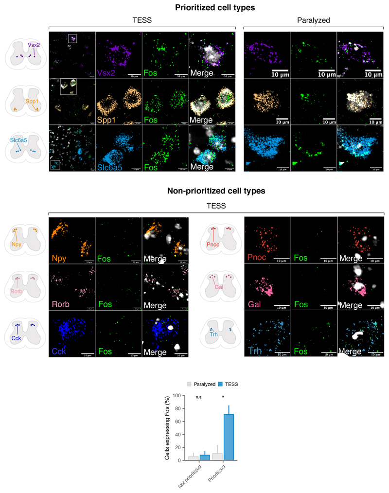 Extended Data Fig. 8