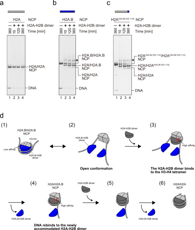 Fig. 6