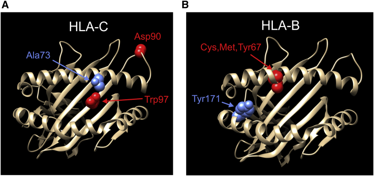 Figure 6