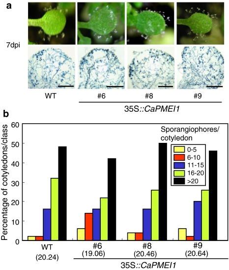 Fig. 9