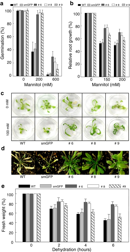 Fig. 10