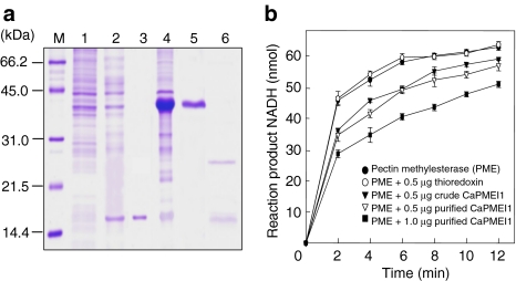 Fig. 4