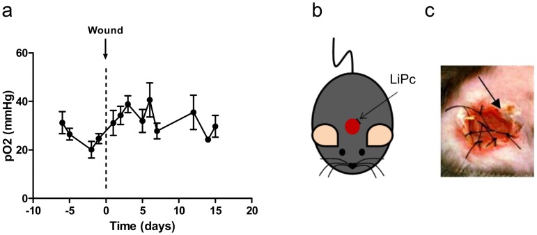 Fig 6