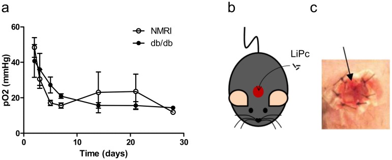 Fig 5