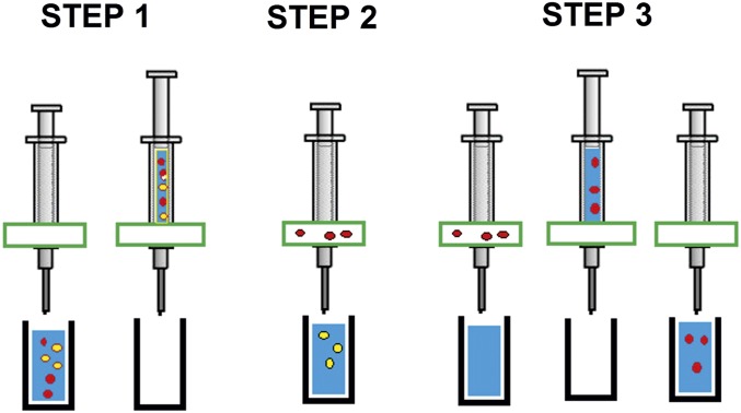 Fig. 6.