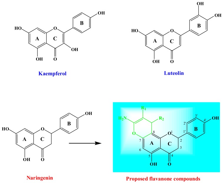 Figure 1