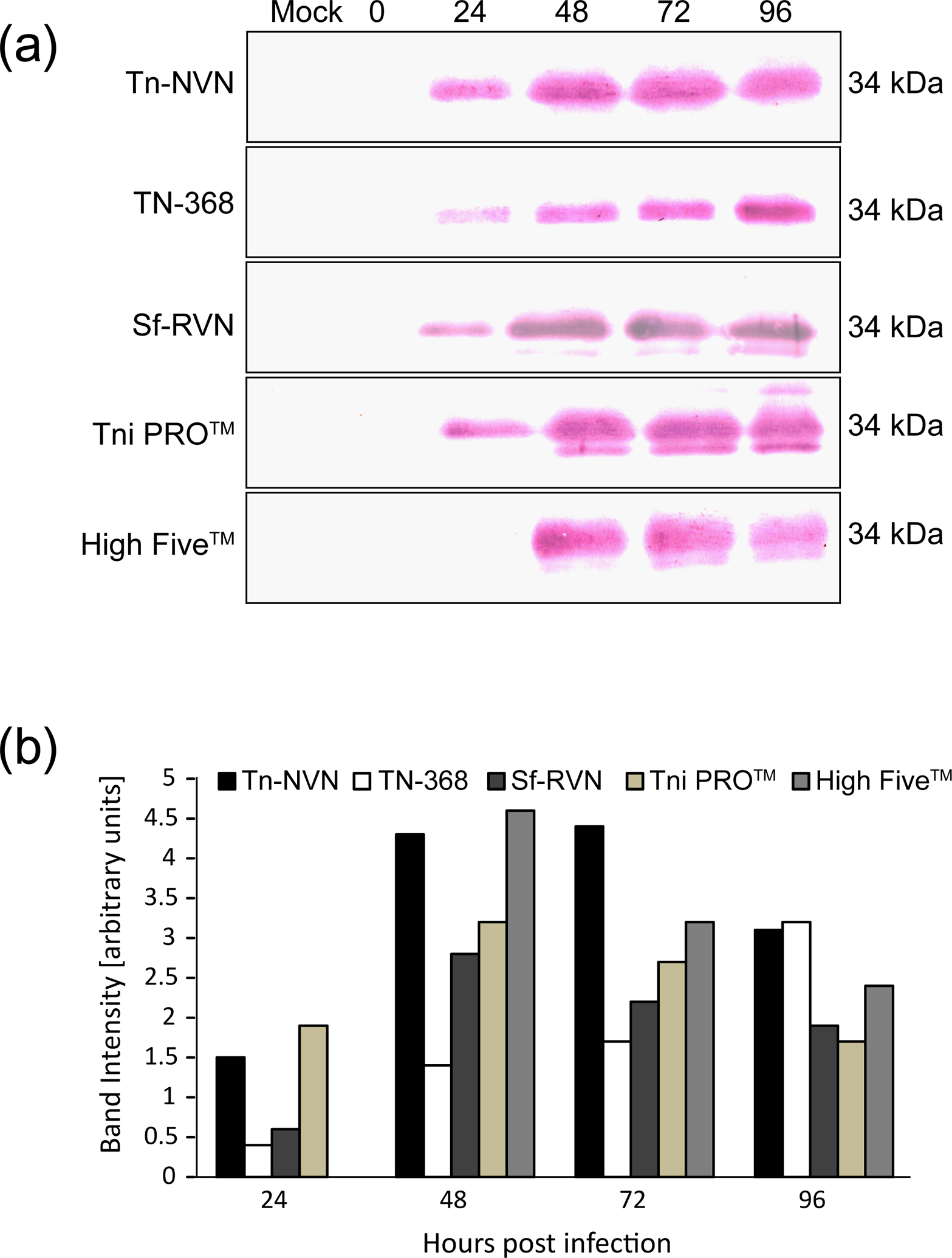 FIGURE 6: