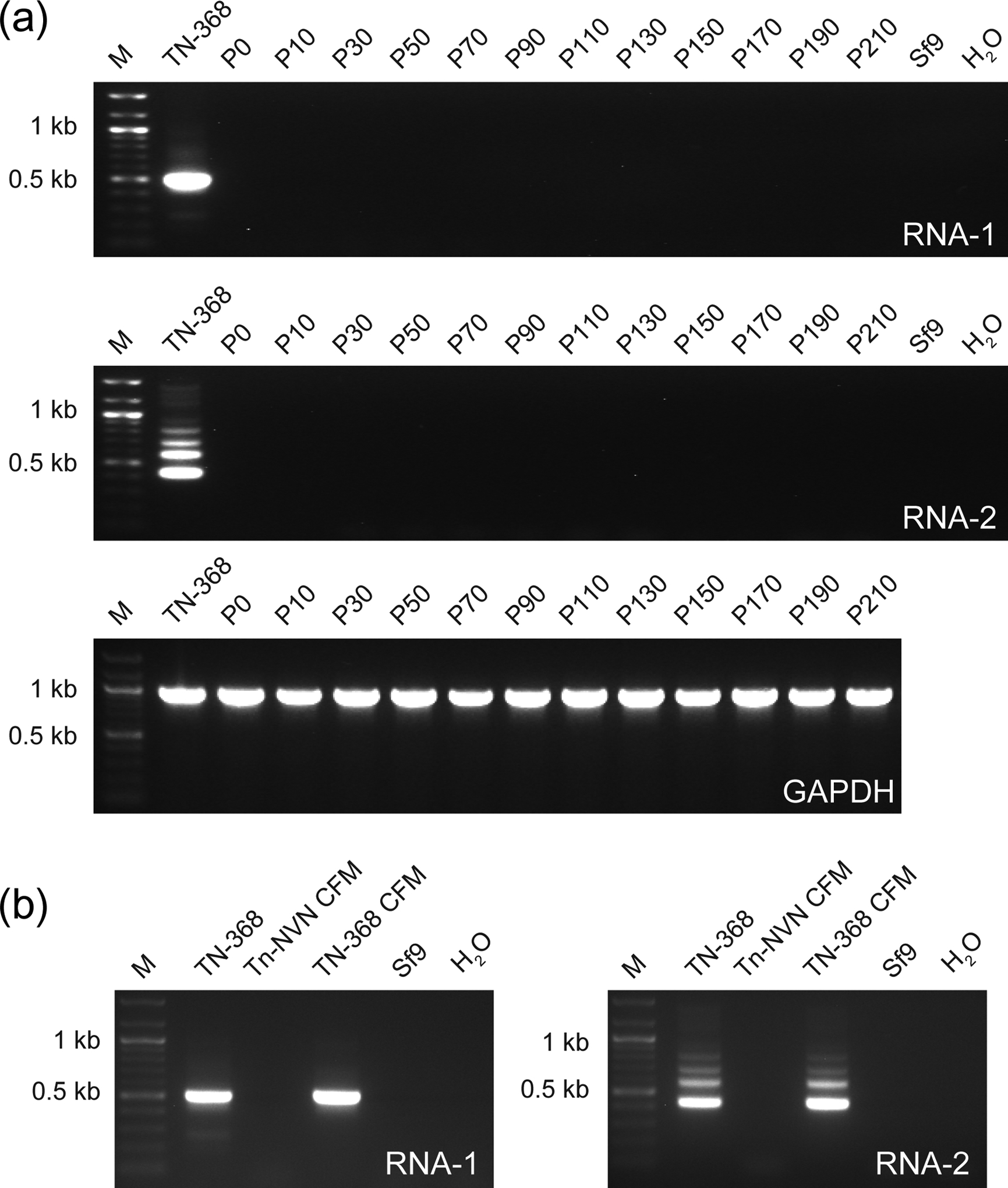 FIGURE 1: