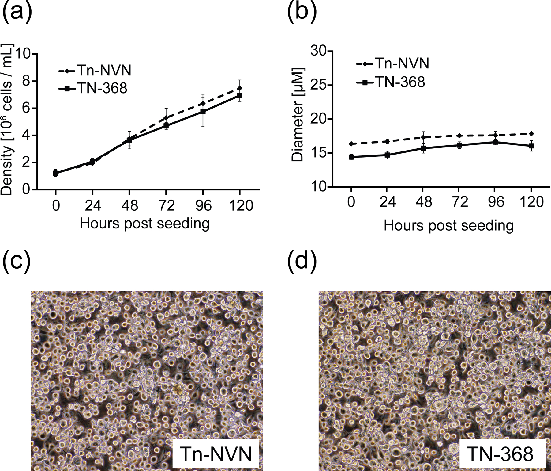 FIGURE 3: