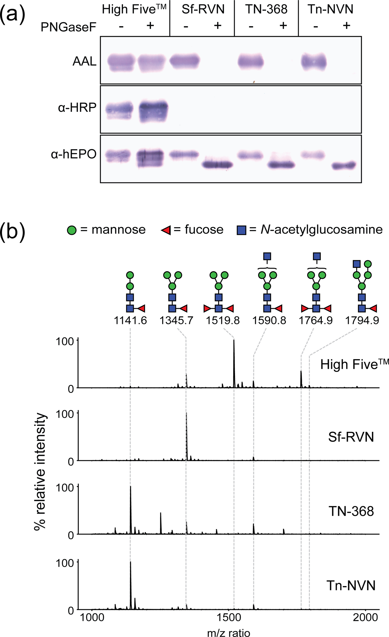 FIGURE 7: