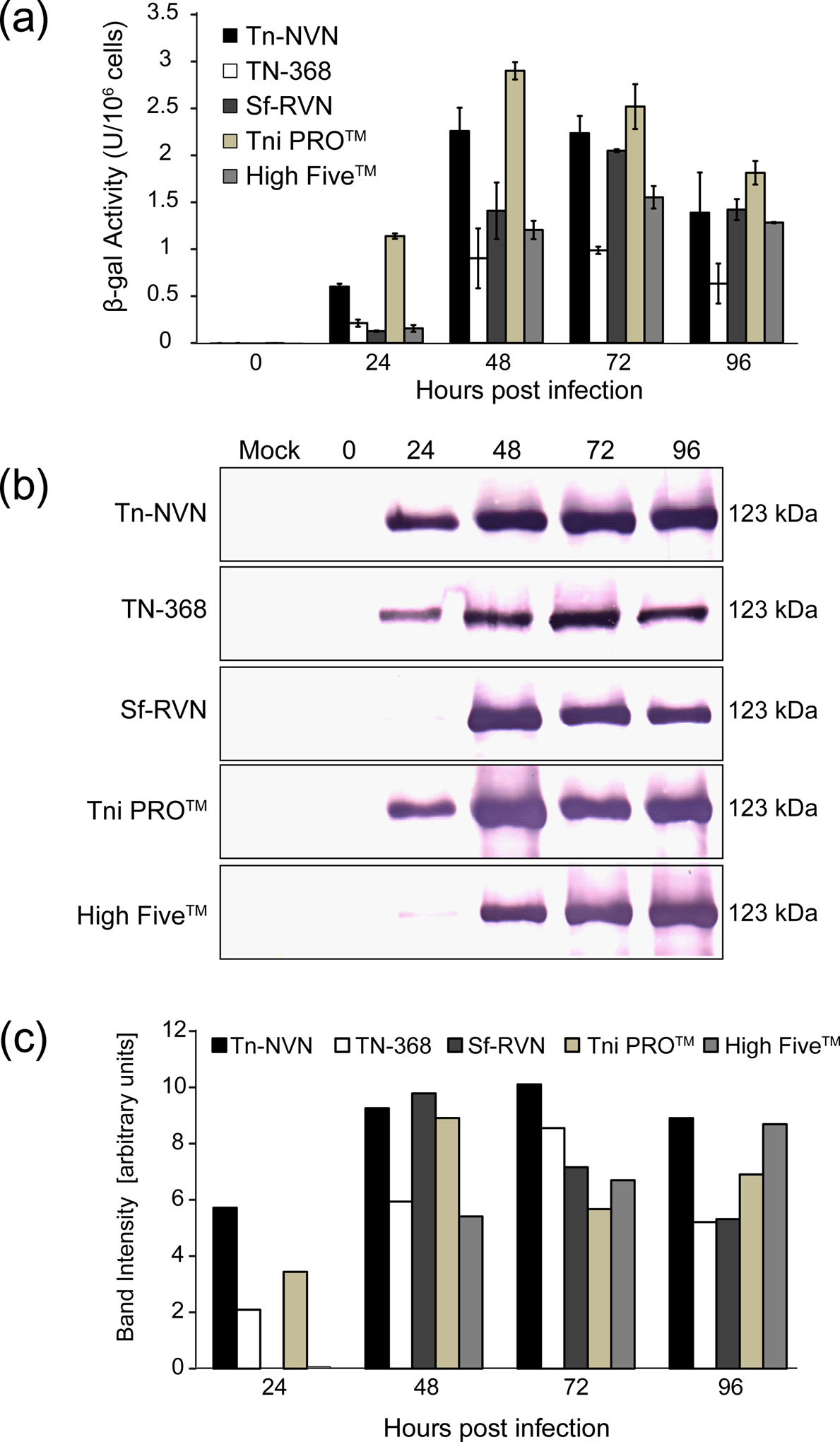 FIGURE 4: