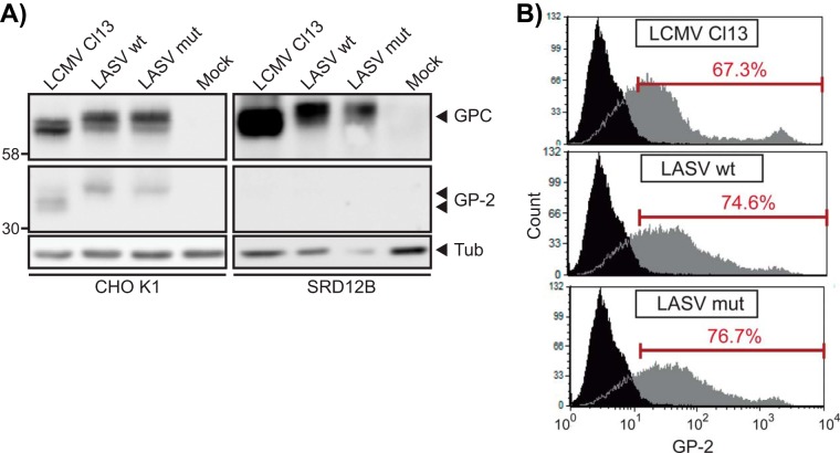 FIG 5