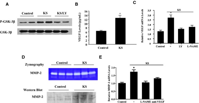 Figure 7.