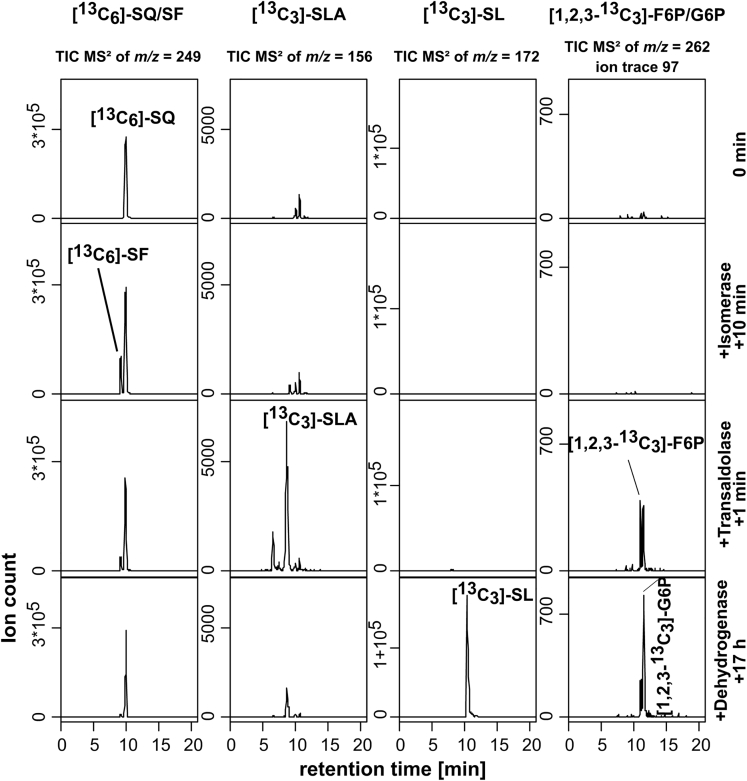 Figure 4