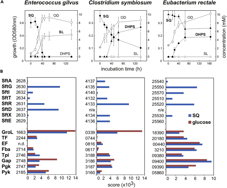 Figure 6