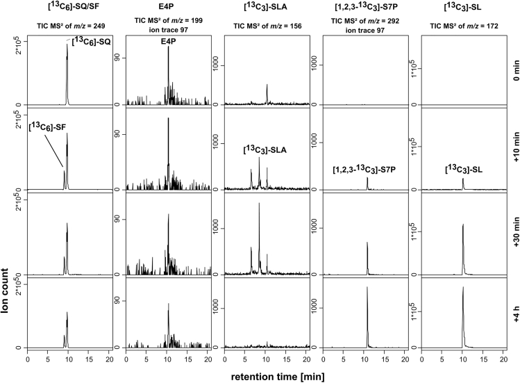 Figure 3