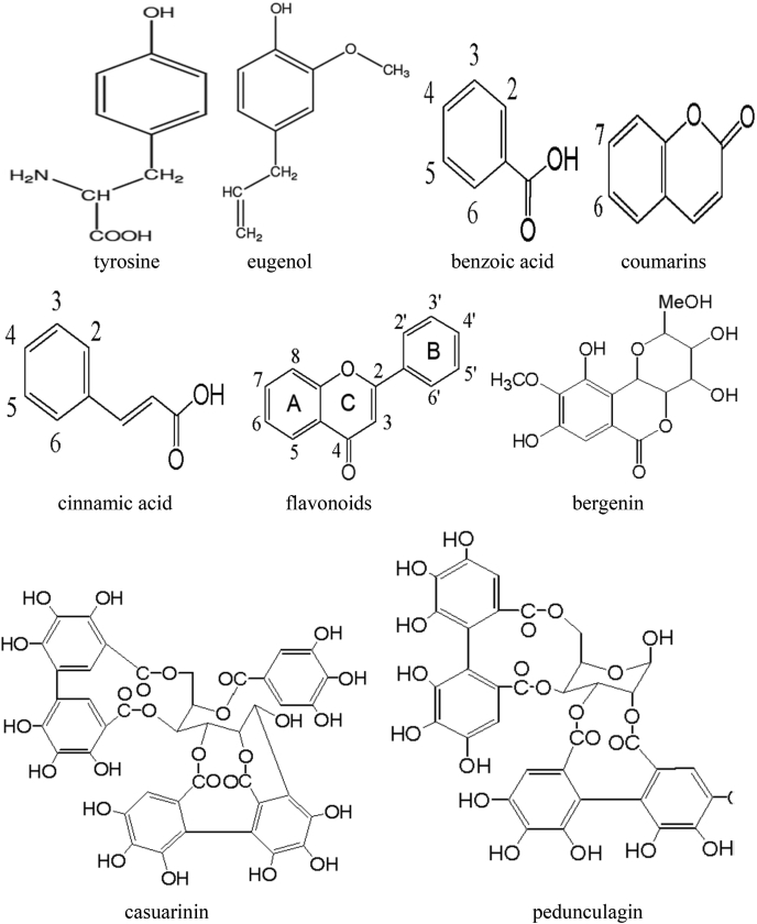 Fig. 3