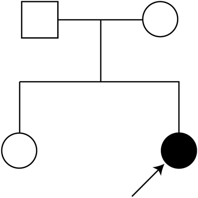 FIGURE 1