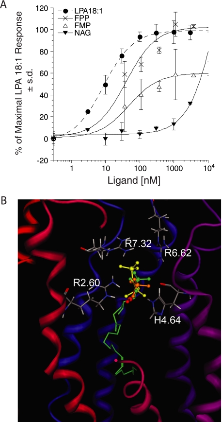 FIGURE 9.