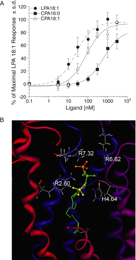 FIGURE 7.