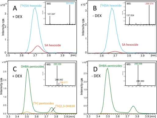 FIGURE 4.