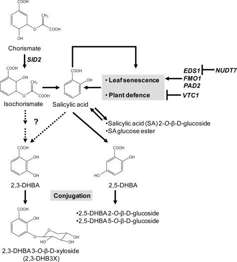 FIGURE 7.