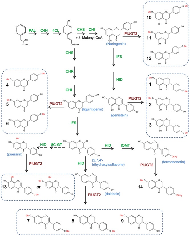 FIGURE 1